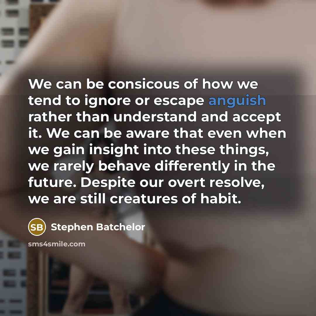“We can be consicous of how we tend to ignore…” quote by Stephen Batchelor