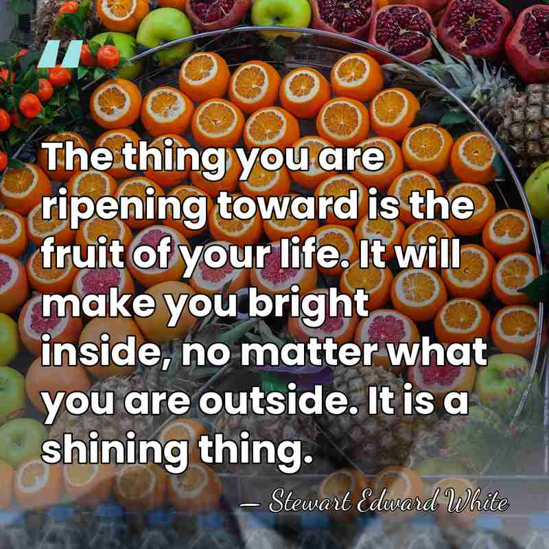 The thing you are ripening toward is the fruit of your life.&hellip; - Stewart Edward White