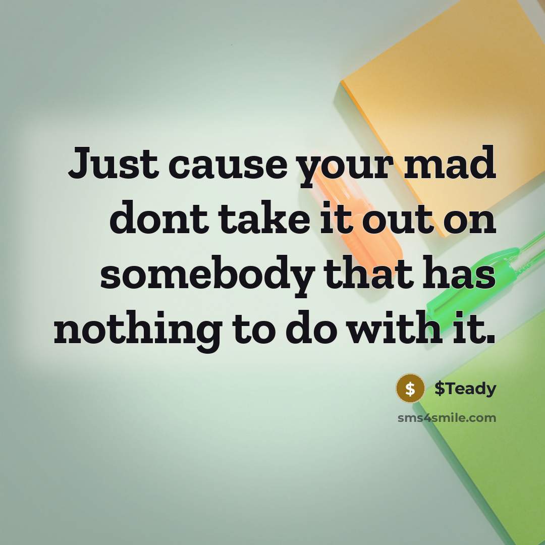 “Just cause your mad dont take it out on somebody that has nothing to do with it.” quote by $Teady
