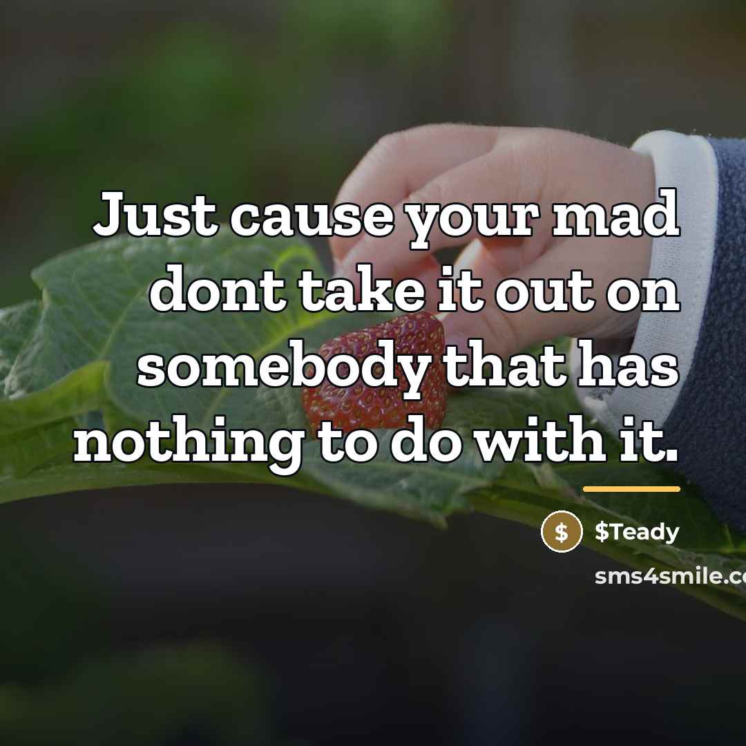 “Just cause your mad dont take it out on somebody…” quote by $Teady