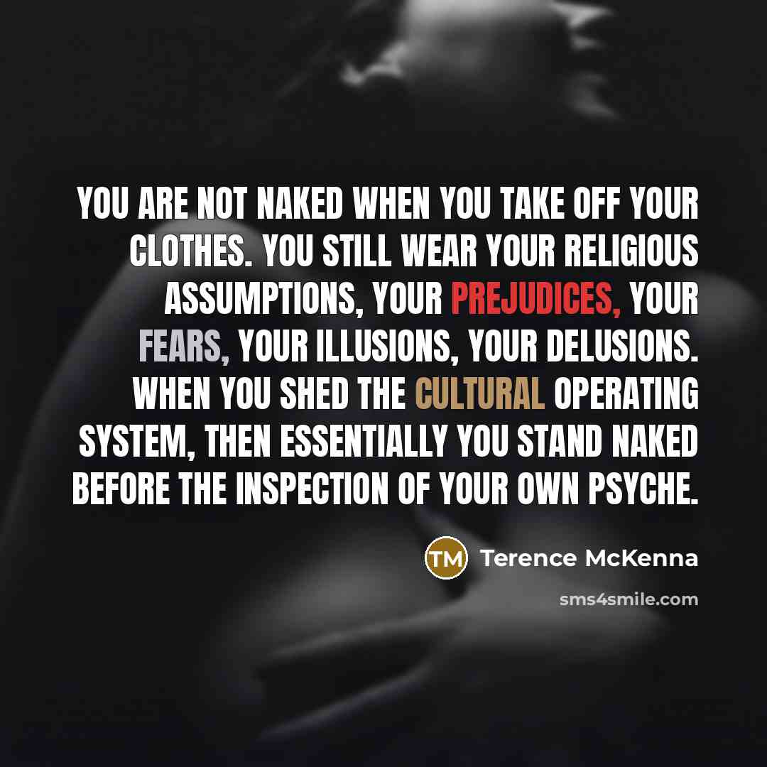 “You are not naked when you take off your clothes.…” quote by Terence McKenna