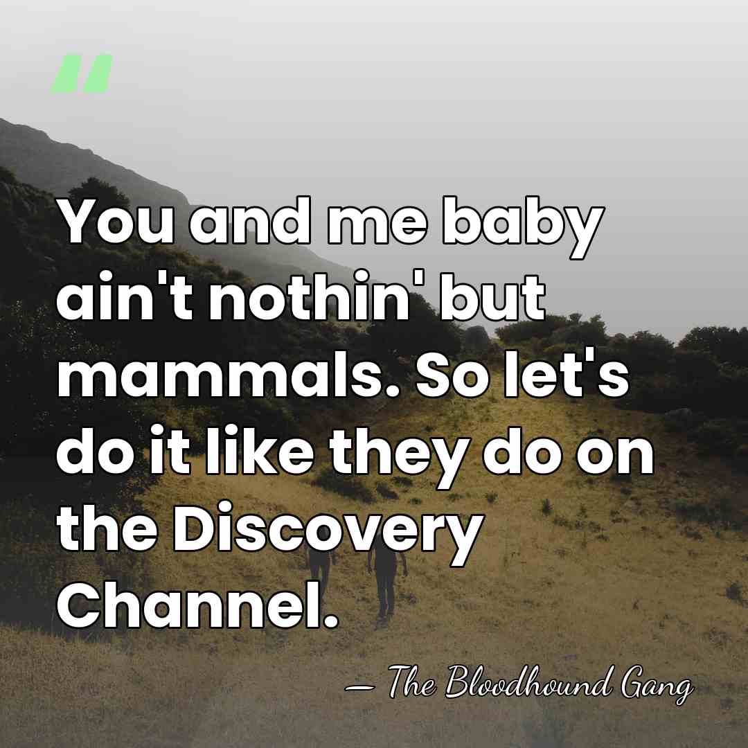 You and me baby ain't nothin' but mammals. So let's do it&hellip; - The Bloodhound Gang