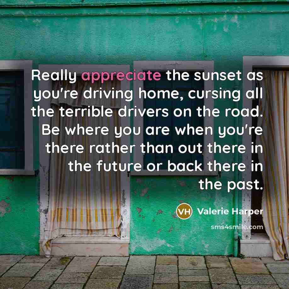 “Really appreciate the sunset as you're driving home, cursing all the terrible drivers on the road. Be where you are when you're there rather than out there in the future or back there in the past.” quote by Valerie Harper