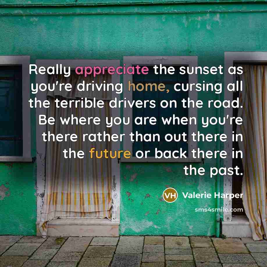 “Really appreciate the sunset as you're driving home, cursing all the terrible drivers on the road. Be where you are when you're there rather than out there in the future or back there in the past.” quote by Valerie Harper