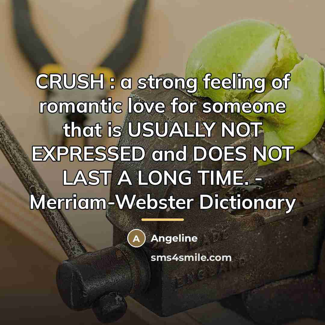 “CRUSH : a strong feeling of romantic love for someone…” quote by Angeline