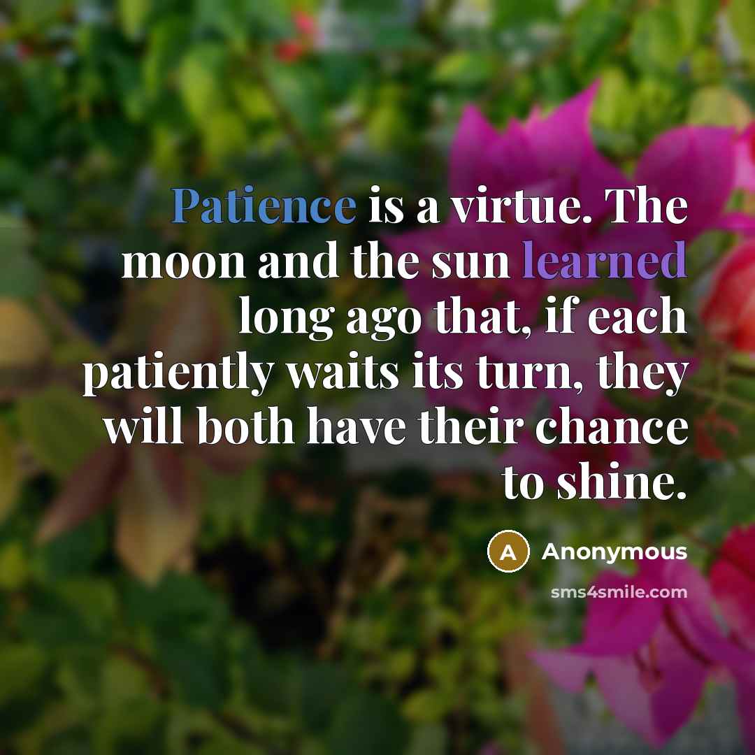“Patience is a virtue. The moon and the sun learned…” quote by Anonymous