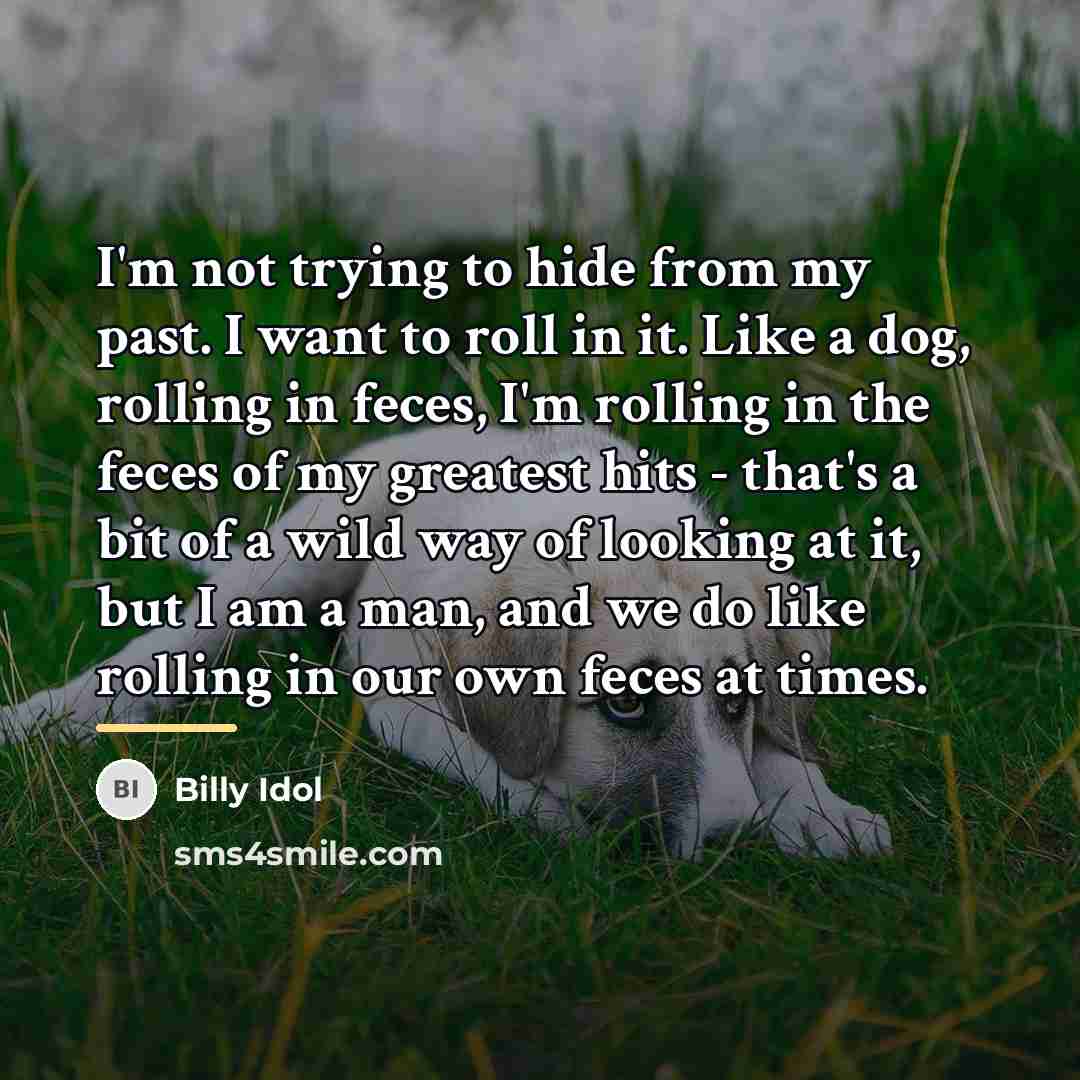 “I'm not trying to hide from my past. I want…” quote by Billy Idol