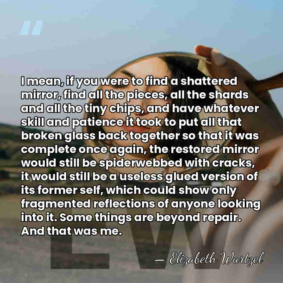I mean, if you were to find a shattered mirror, find all&hellip; - Elizabeth Wurtzel