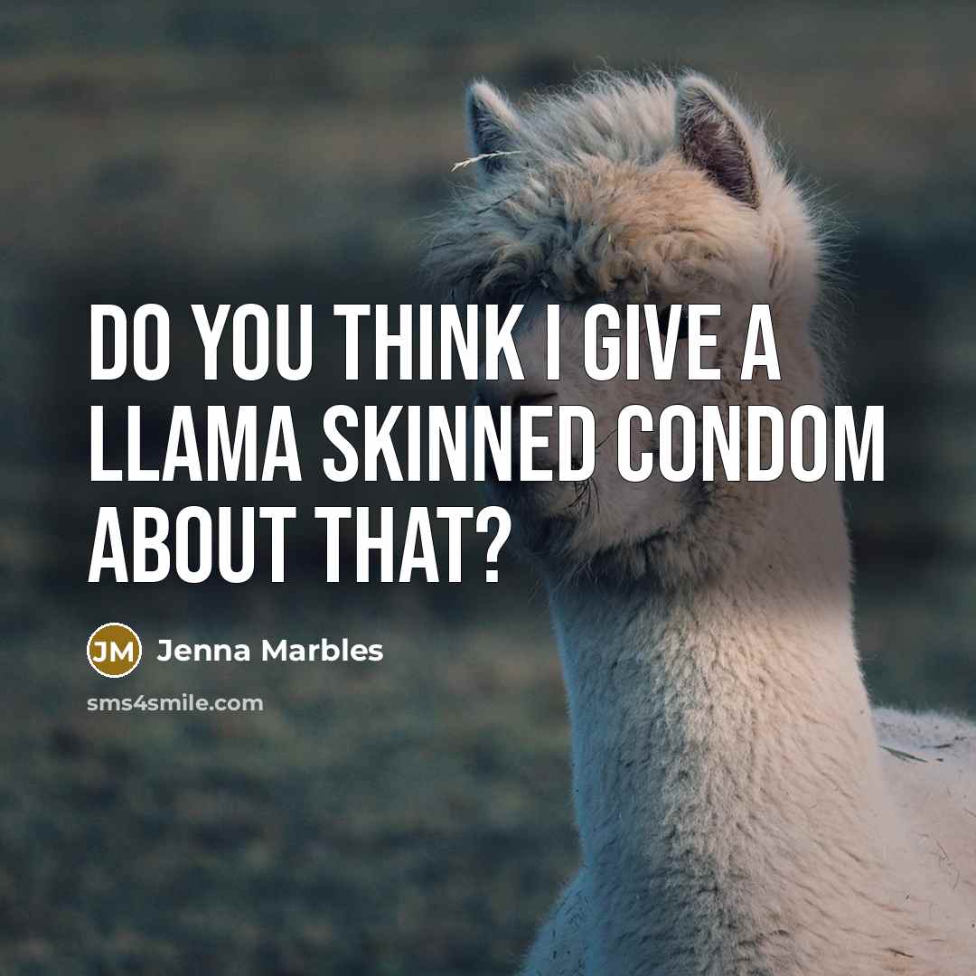 “Do you think I give a llama skinned condom about…” quote by Jenna Marbles