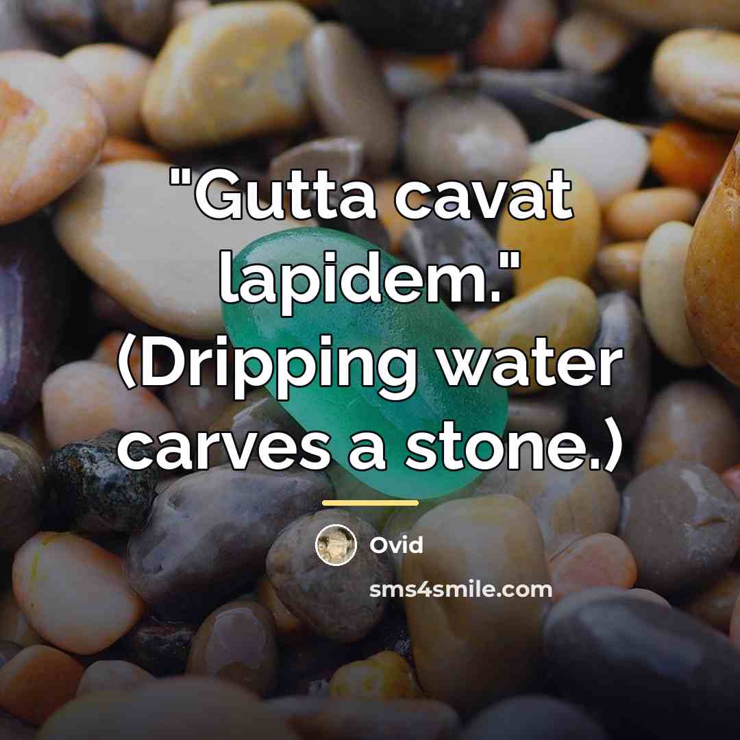 “"Gutta cavat lapidem." (Dripping water carves a stone.)…” quote by Ovid