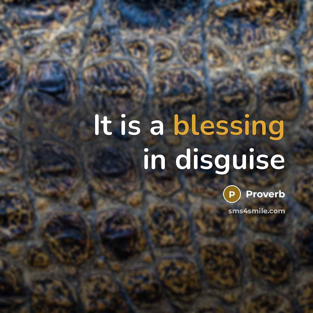 “It is a blessing in disguise…” quote by Proverb