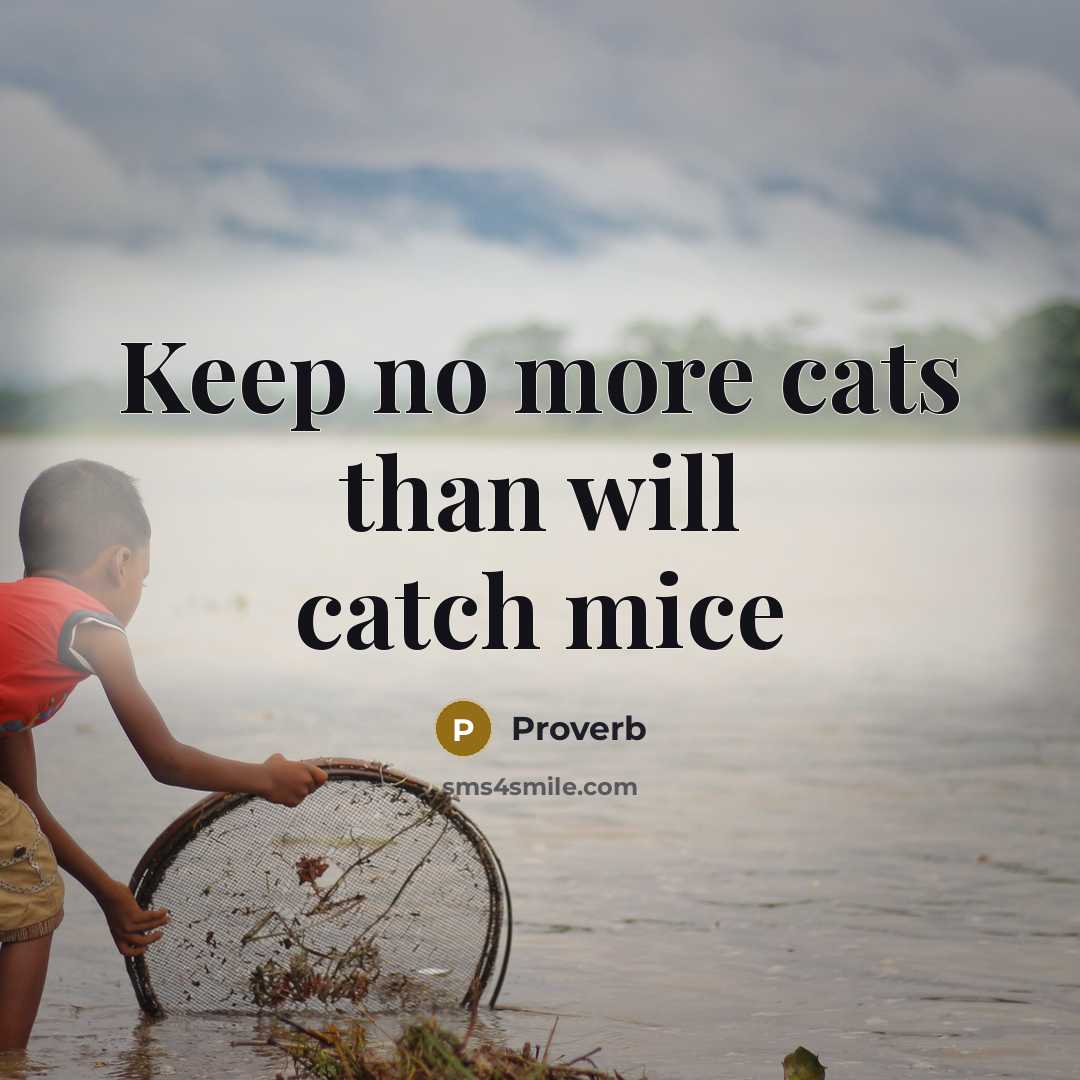 “Keep no more cats than will catch mice” quote by Proverb