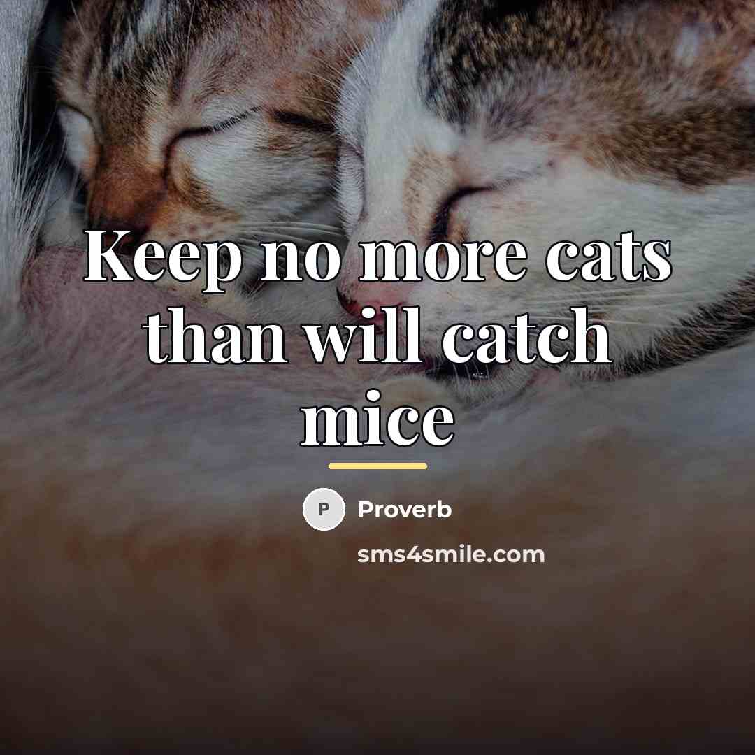 “Keep no more cats than will catch mice…” quote by Proverb