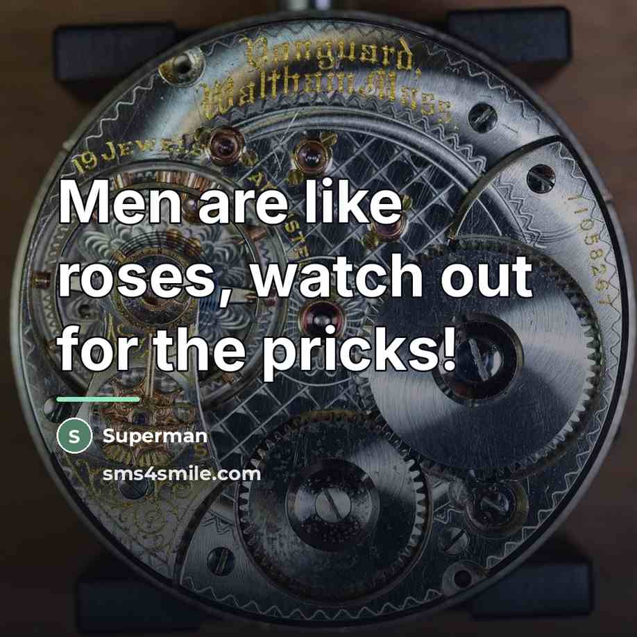 “Men are like roses, watch out for the pricks!…” quote by Superman