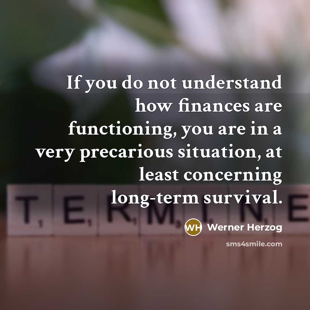 “If you do not understand how finances are functioning, you…” quote by Werner Herzog