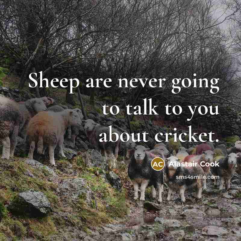 “Sheep are never going to talk to you about cricket.…” quote by Alastair Cook