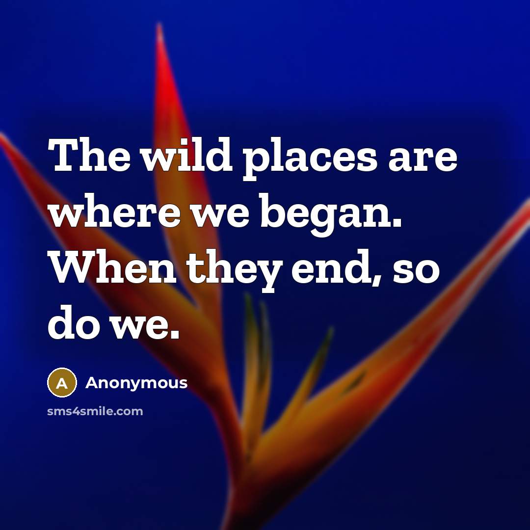 “The wild places are where we began. When they end,…” quote by Anonymous
