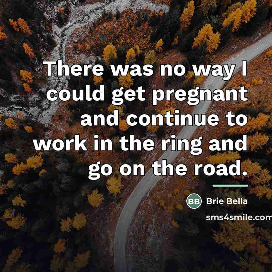 “There was no way I could get pregnant and continue…” quote by Brie Bella