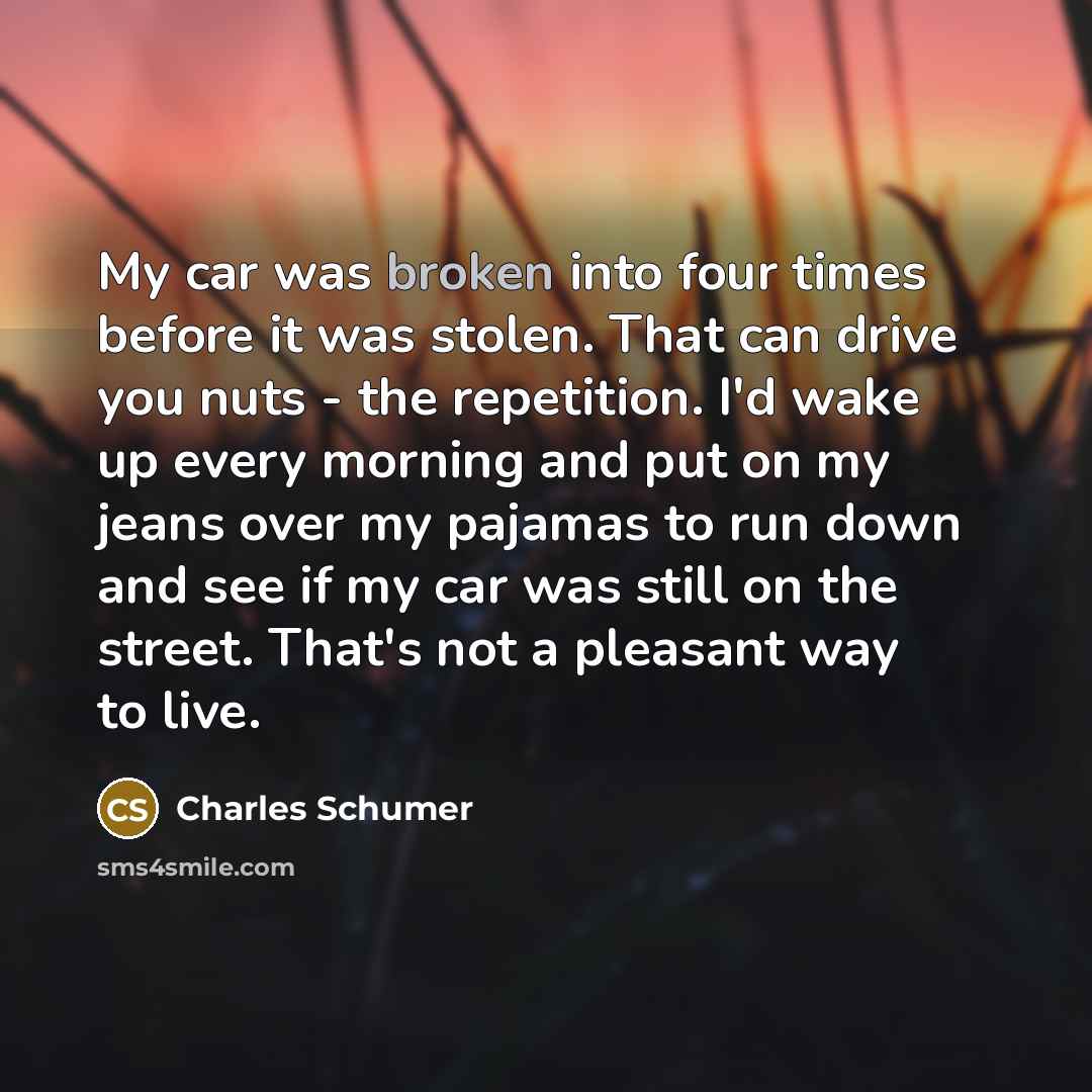 “My car was broken into four times before it was…” quote by Charles Schumer