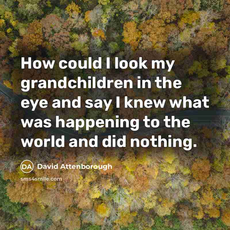 “How could I look my grandchildren in the eye and…” quote by David Attenborough