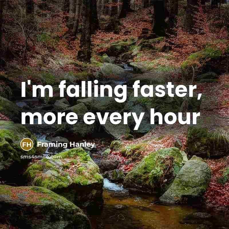 “I'm falling faster, more every hour” quote by Framing Hanley