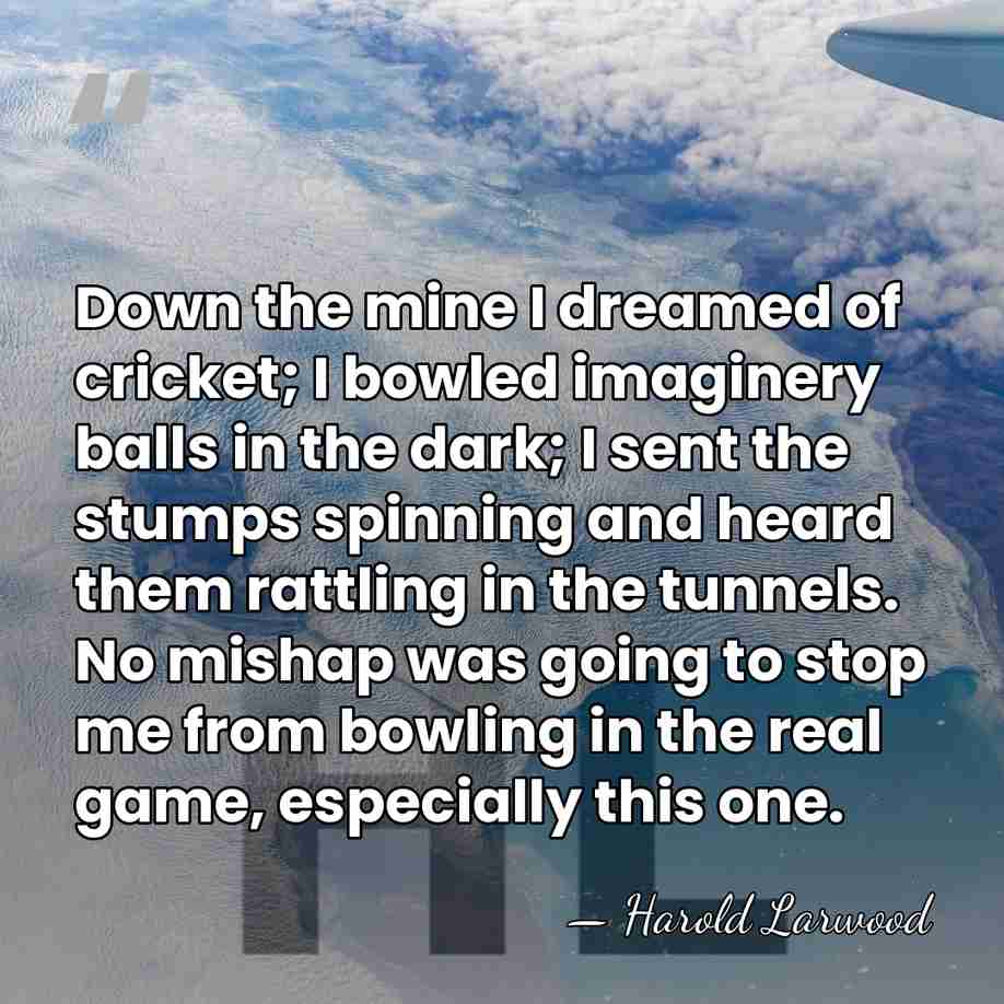 Down the mine I dreamed of cricket; I bowled imaginery balls in&hellip; - Harold Larwood