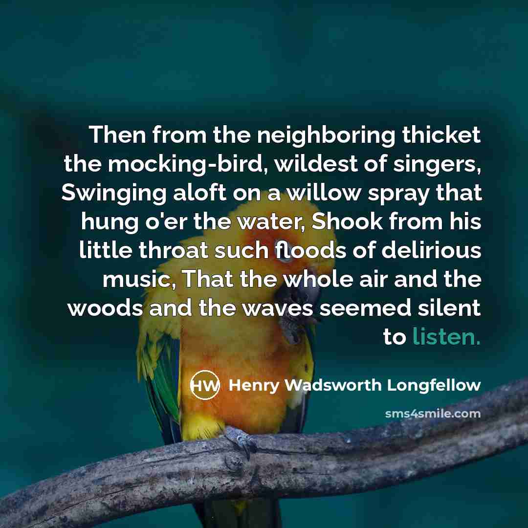 “Then from the neighboring thicket the mocking-bird, wildest of singers,…” quote by Henry Wadsworth Longfellow