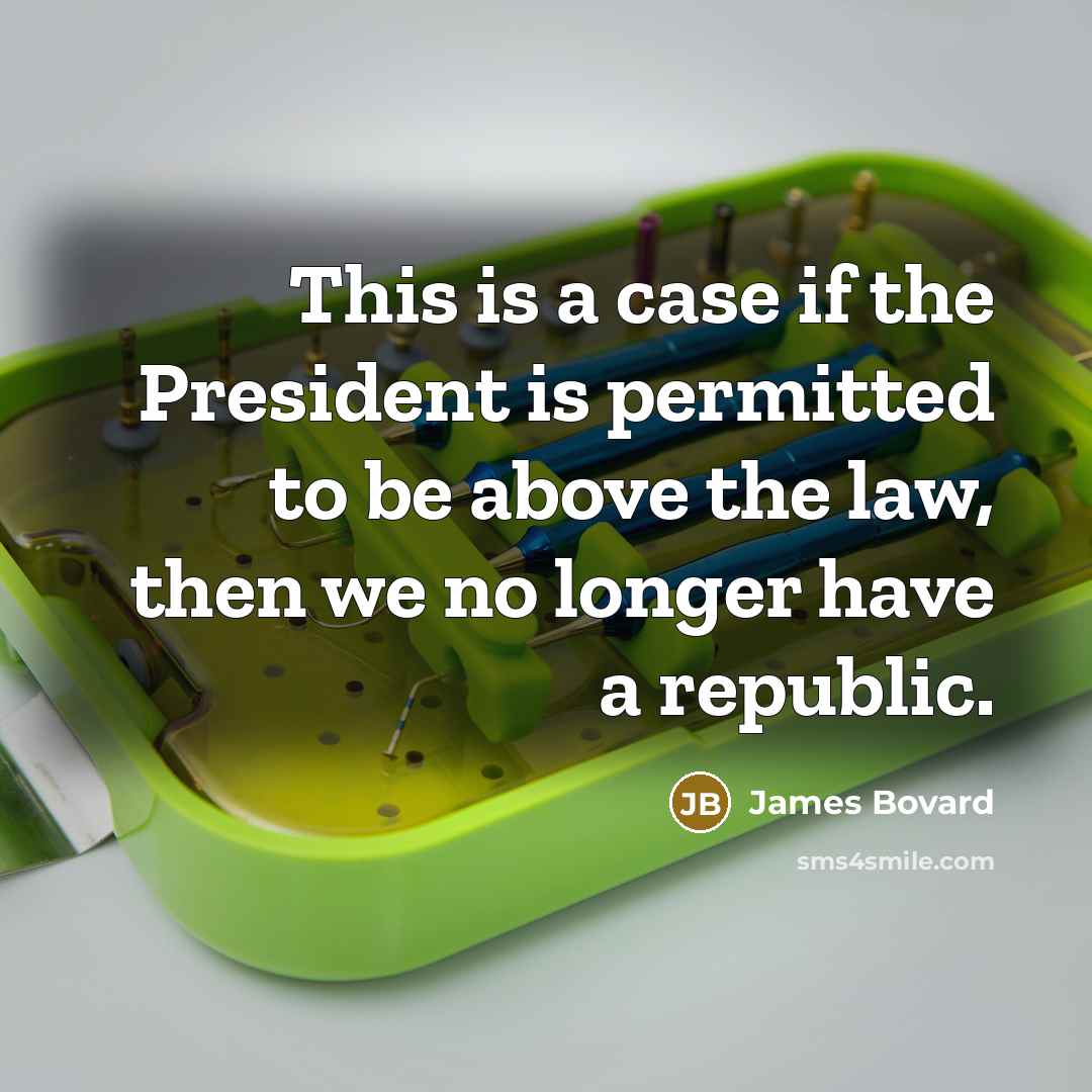 “This is a case if the President is permitted to…” quote by James Bovard