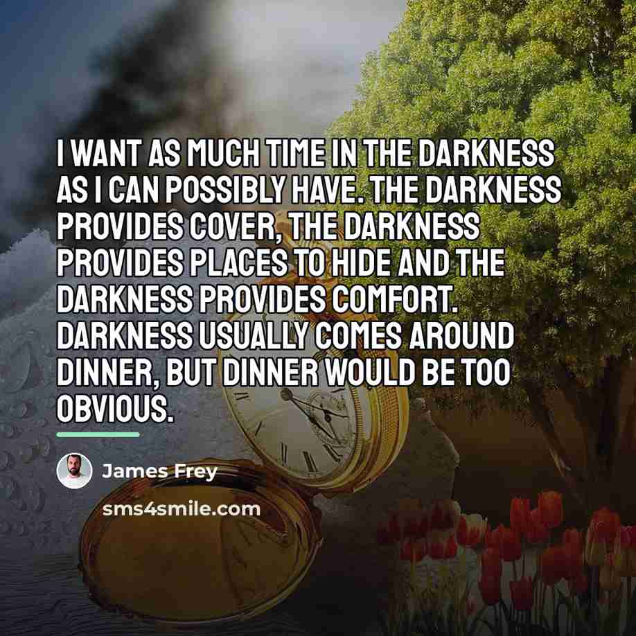 “I want as much time in the darkness as I…” quote by James Frey