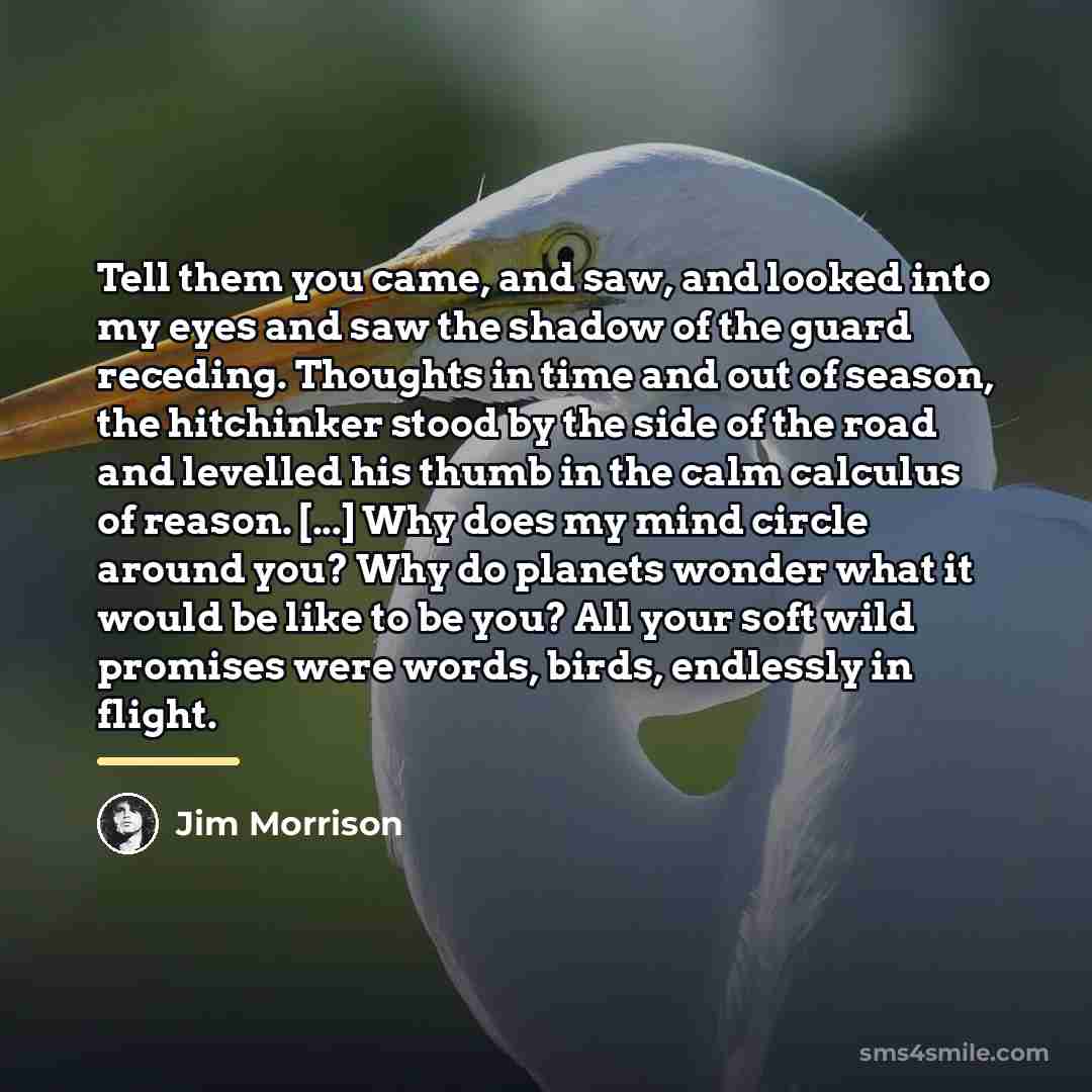 “Tell them you came, and saw, and looked into my…” quote by Jim Morrison