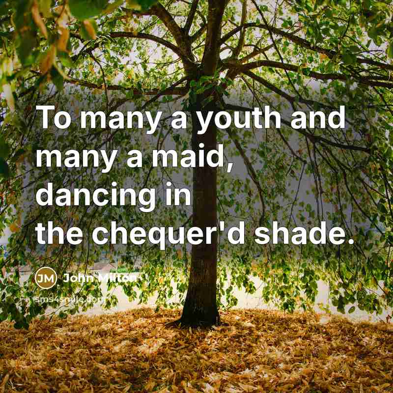 “To many a youth and many a maid, dancing in…” quote by John Milton