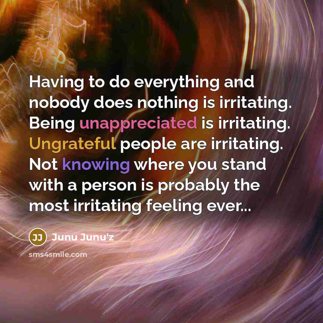 “Having to do everything and nobody does nothing is irritating. Being unappreciated is irritating. Ungrateful people are irritating. Not knowing where you stand with a person is probably the most irritating feeling ever...” quote by Junu Junu'z