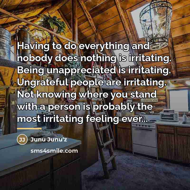 “Having to do everything and nobody does nothing is irritating.…” quote by Junu Junu'z
