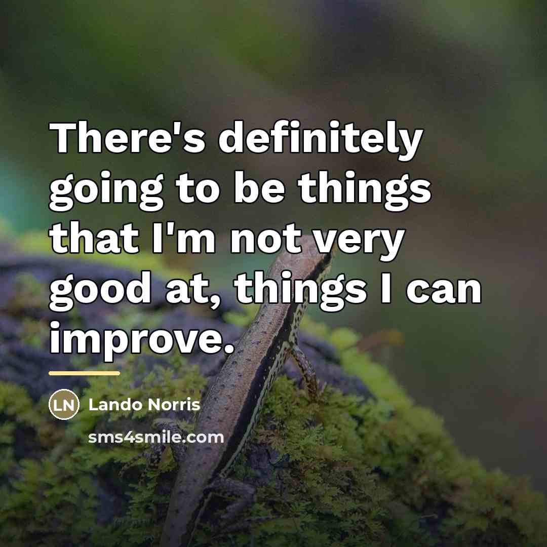 “There's definitely going to be things that I'm not very…” quote by Lando Norris