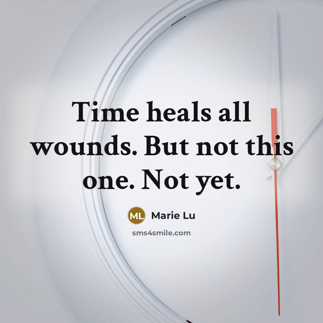 “Time heals all wounds. But not this one. Not yet.…” quote by Marie Lu