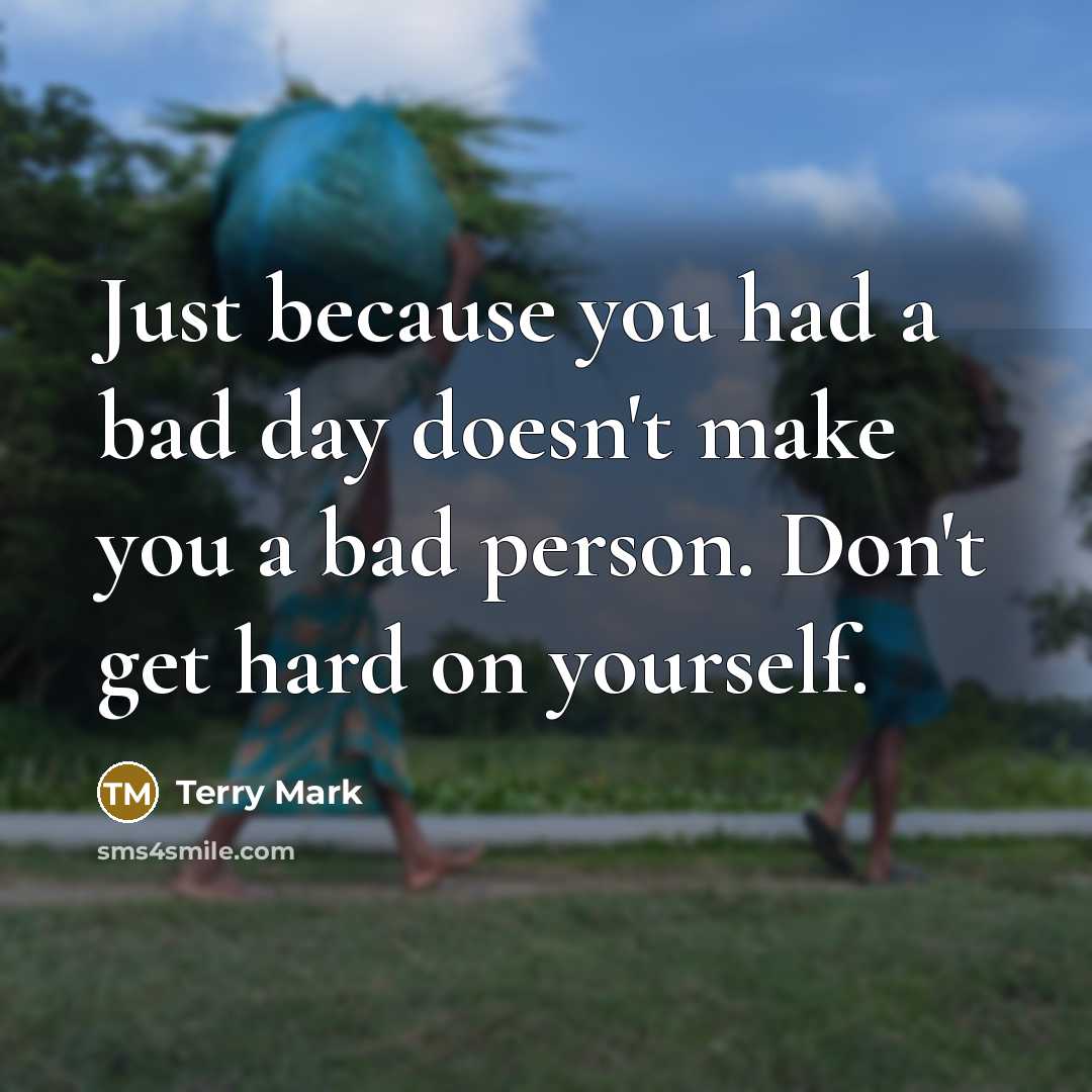 “Just because you had a bad day doesn't make you…” quote by Terry Mark