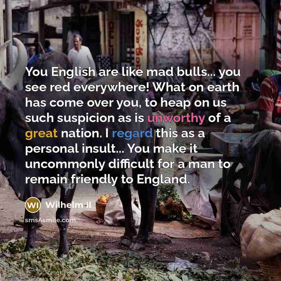 “You English are like mad bulls... you see red everywhere!…” quote by Wilhelm II