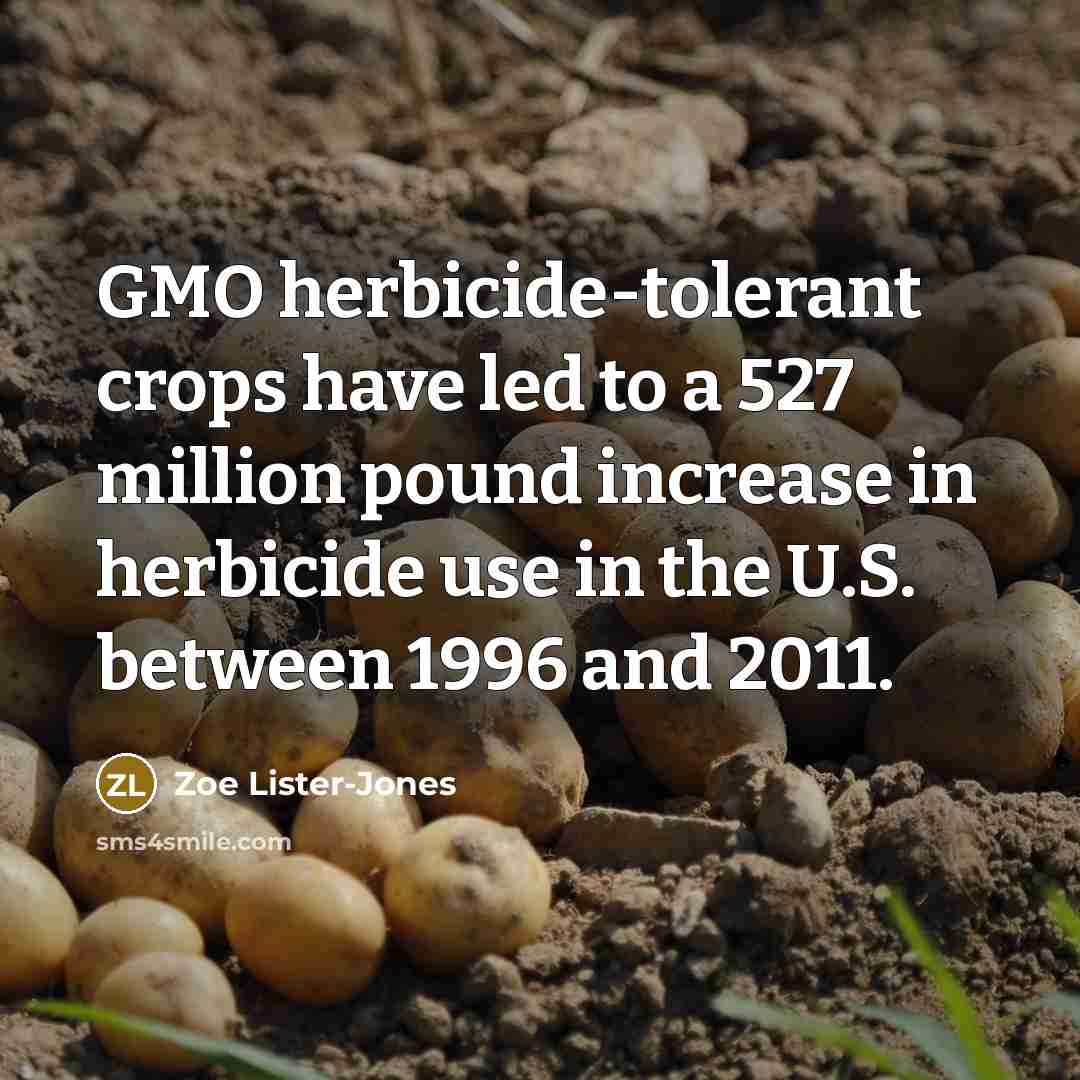 “GMO herbicide-tolerant crops have led to a 527 million pound…” quote by Zoe Lister-Jones