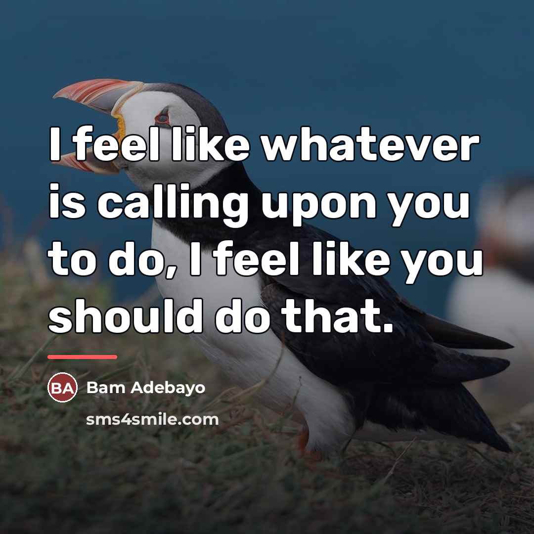 “I feel like whatever is calling upon you to do,…” quote by Bam Adebayo