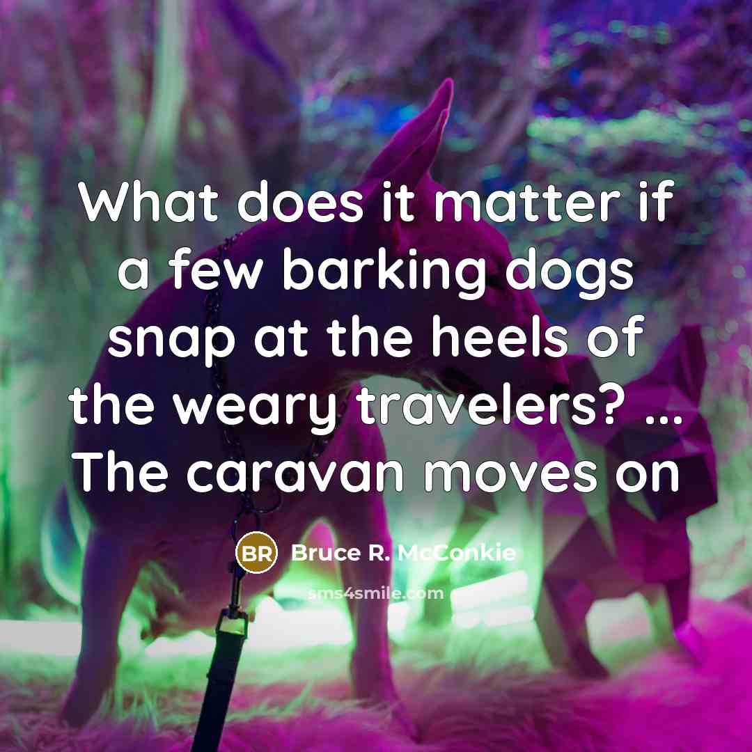 “What does it matter if a few barking dogs snap…” quote by Bruce R. McConkie