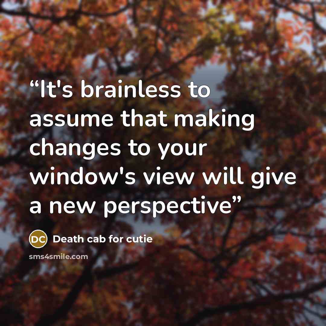 “It's brainless to assume that making changes to your window's view will give a new perspective” quote by Death Cab for Cutie