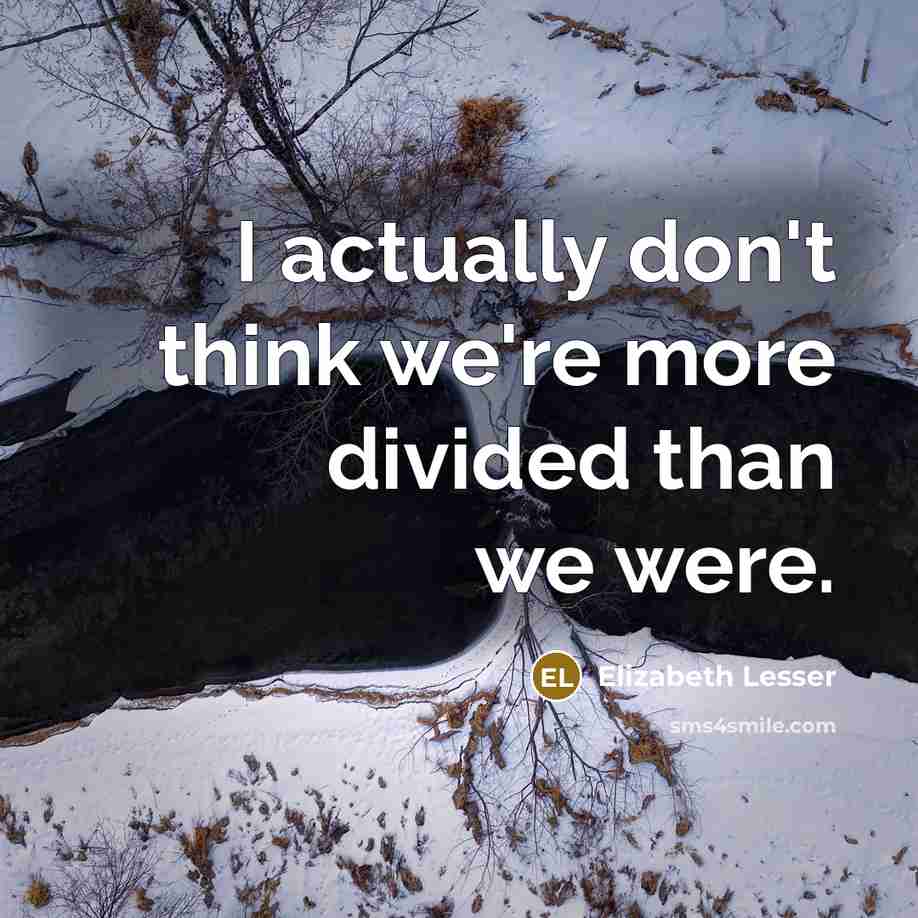 “I actually don't think we're more divided than we were.” quote by Elizabeth Lesser
