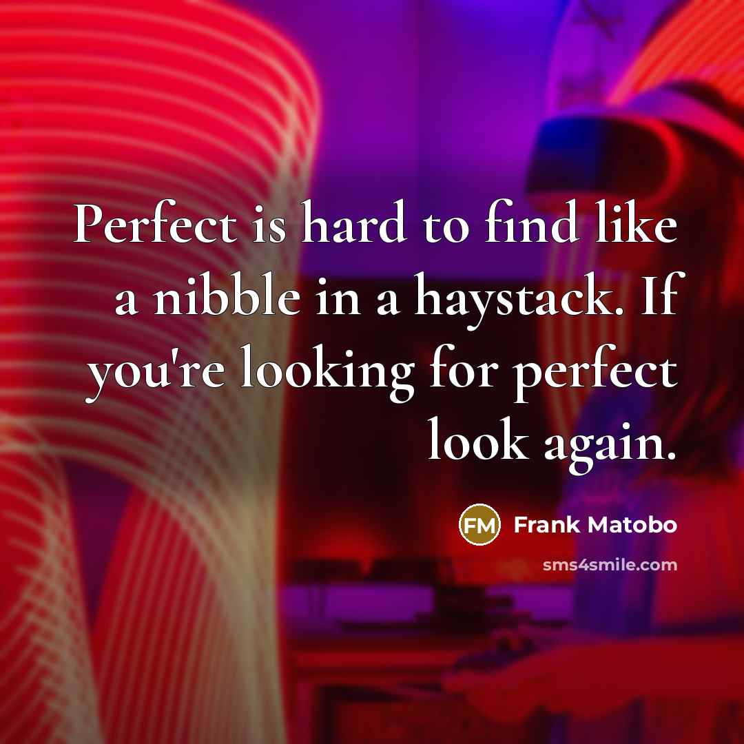 “Perfect is hard to find like a nibble in a…” quote by Frank Matobo
