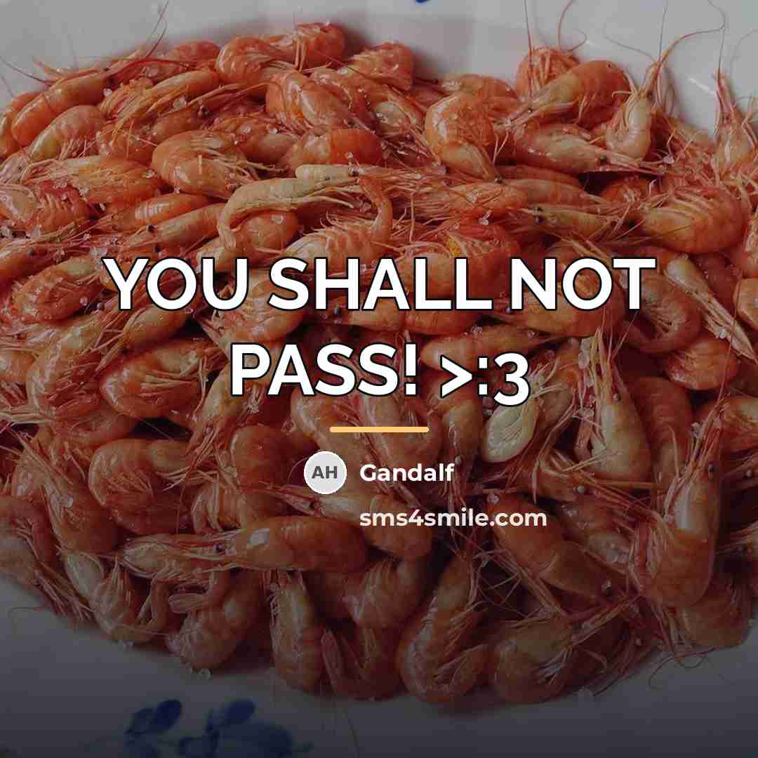 “YOU SHALL NOT PASS! >:3…” quote by Gandalf