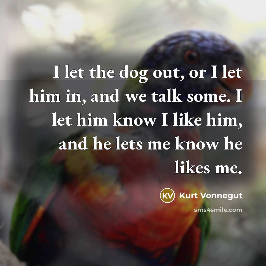 “I let the dog out, or I let him in, and we talk some. I let him know I like him, and he lets me know he likes me.” quote by Kurt Vonnegut