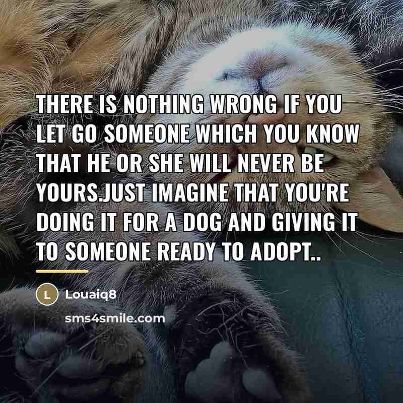“There is nothing wrong if you let go someone which…” quote by Louaiq8