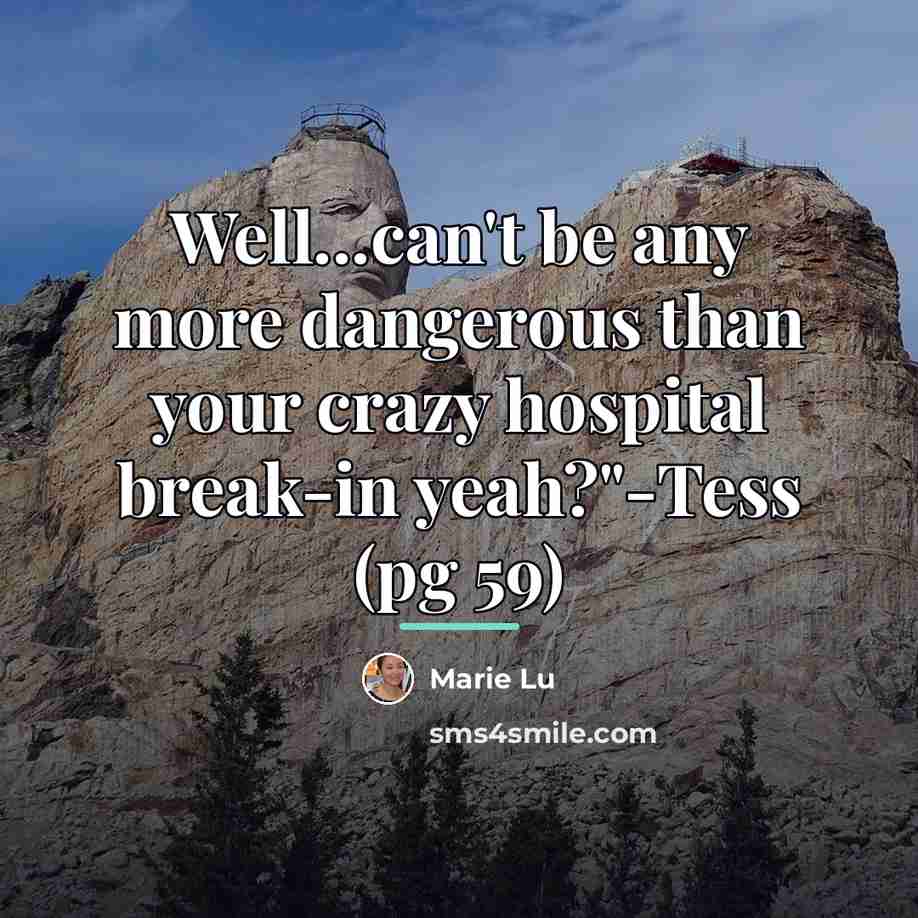 “Well...can't be any more dangerous than your crazy hospital break-in…” quote by Marie Lu