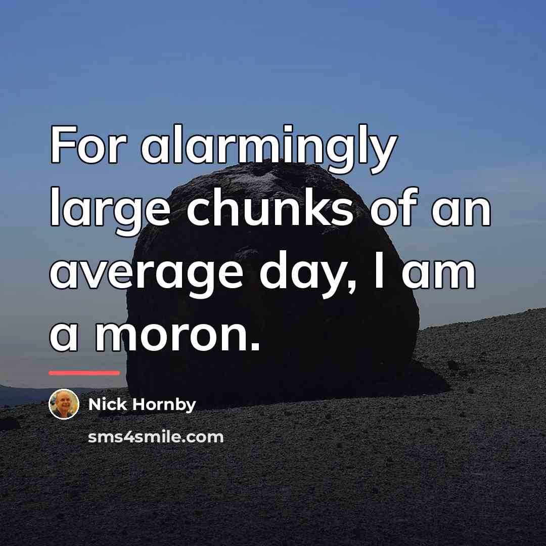 “For alarmingly large chunks of an average day, I am…” quote by Nick Hornby