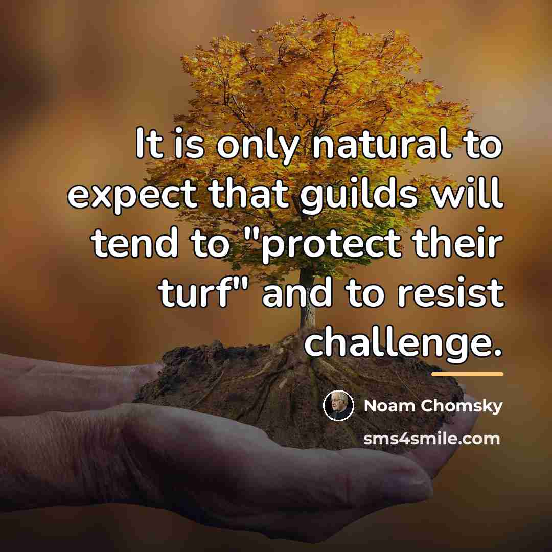 “It is only natural to expect that guilds will tend…” quote by Noam Chomsky