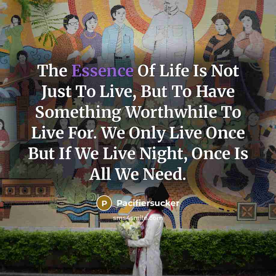“The Essence Of Life Is Not Just To Live, But…” quote by Pacifiersucker